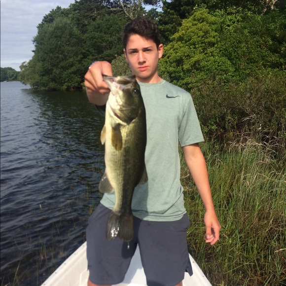 Meet your Posher, Joe - Picture 1 of 1